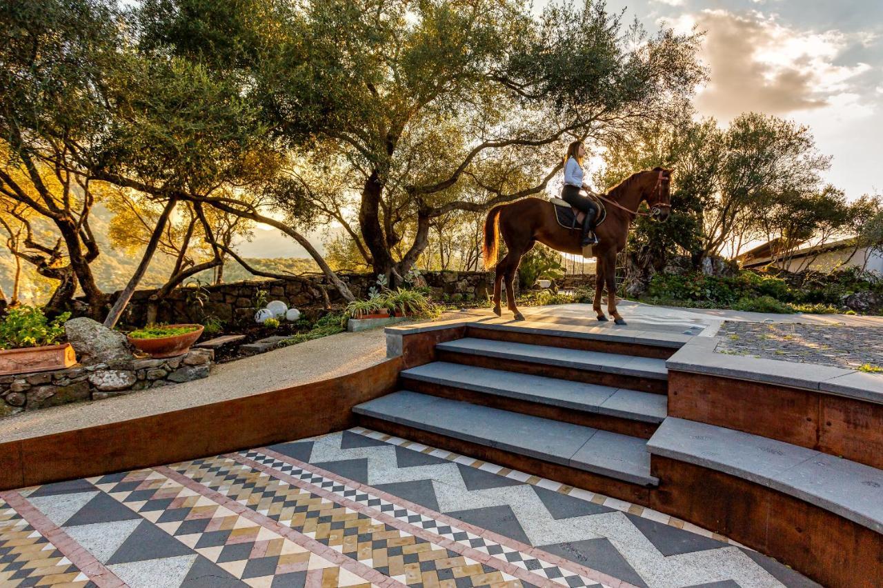 6 Agriturismi Top in Sardegna del Sud da Prenotare