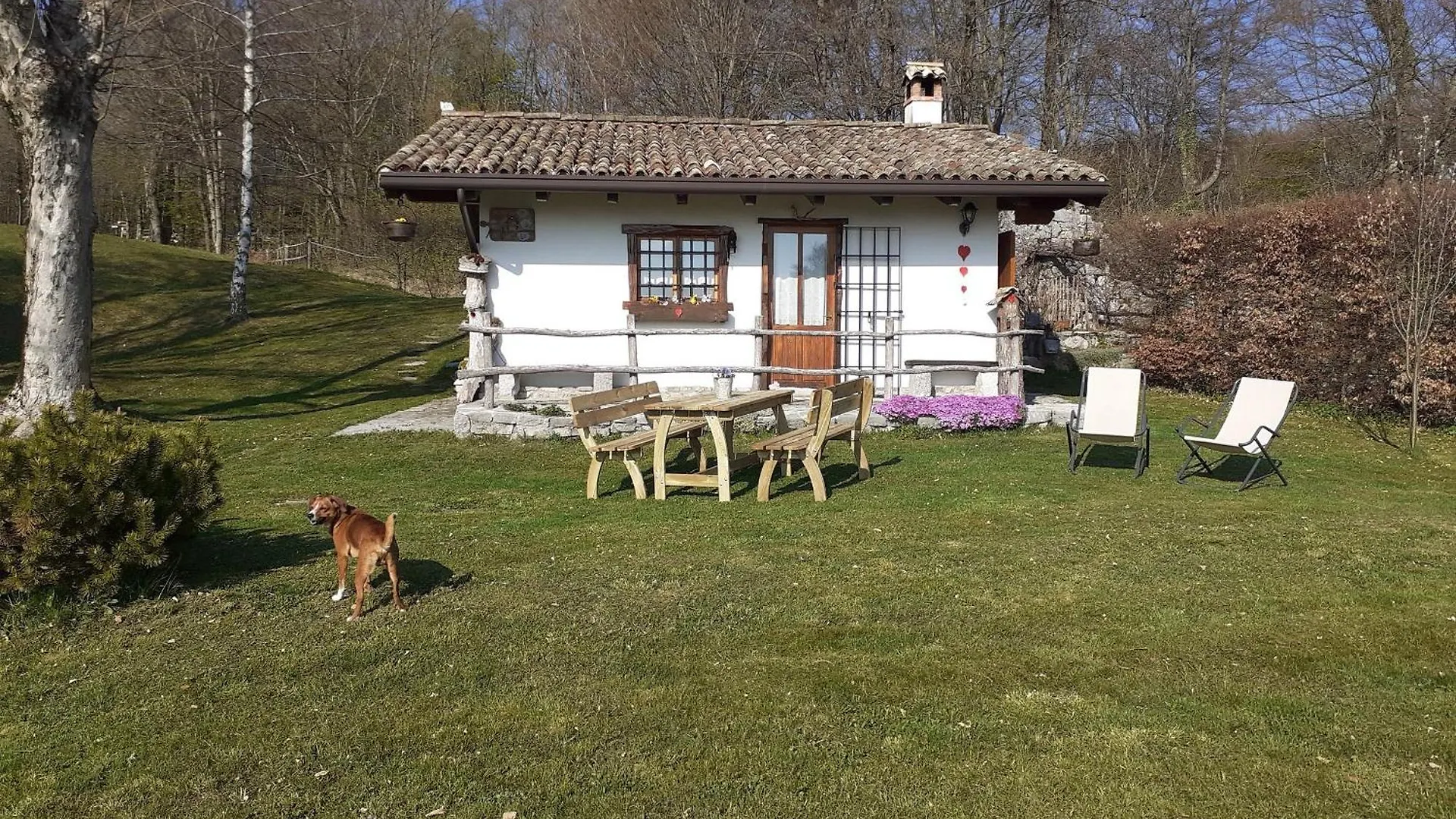 Soggiornare nelle Alpi: 5 Ville Confrontate per Scegliere Meglio